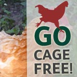 Go Cage free!