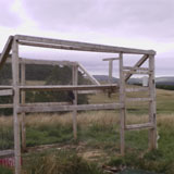 Cage trap on shooting estate
