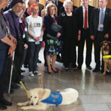 At Scottish parliament