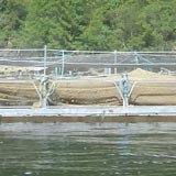 Fish farm