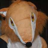 fox at LibDem conference