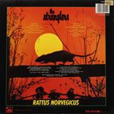 Cover of Rattus Norvegicus